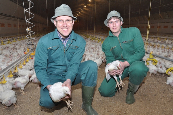 {Junger landwirt bei der arbeit
89} NGW Niedersächsische Geflügelwirtschaft - Archiv | {Junger landwirt bei der arbeit
89}
