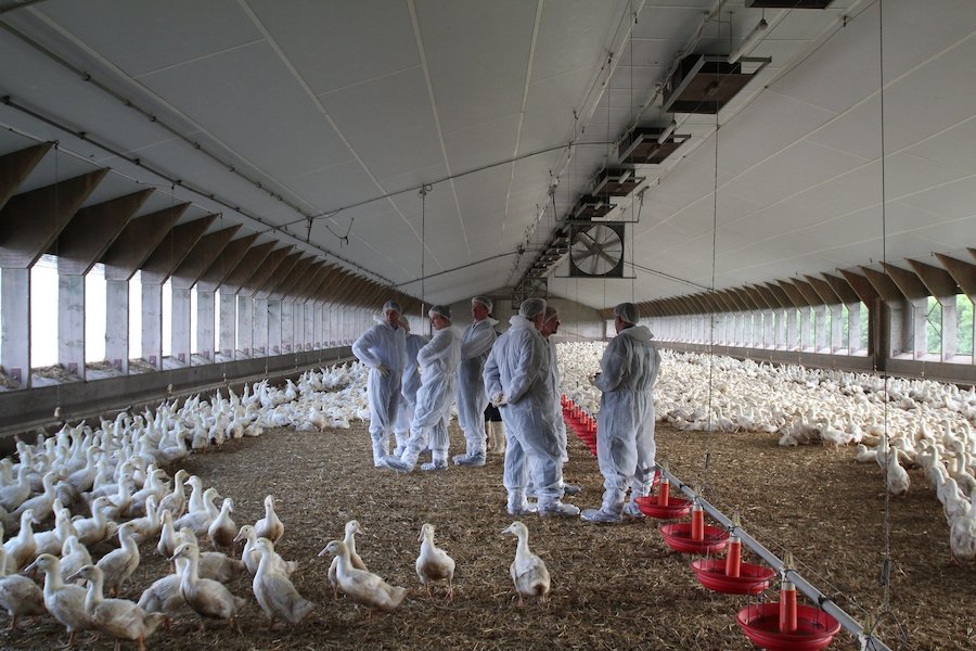 Exkursion zum Betrieb Krolage Image 1